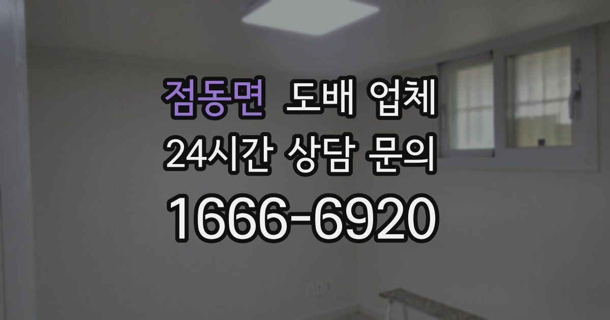 점동면 도배 업체