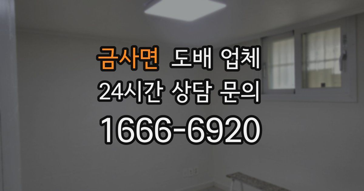금사면 도배 업체