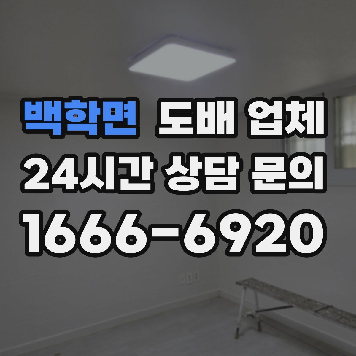 백학면 도배 업체