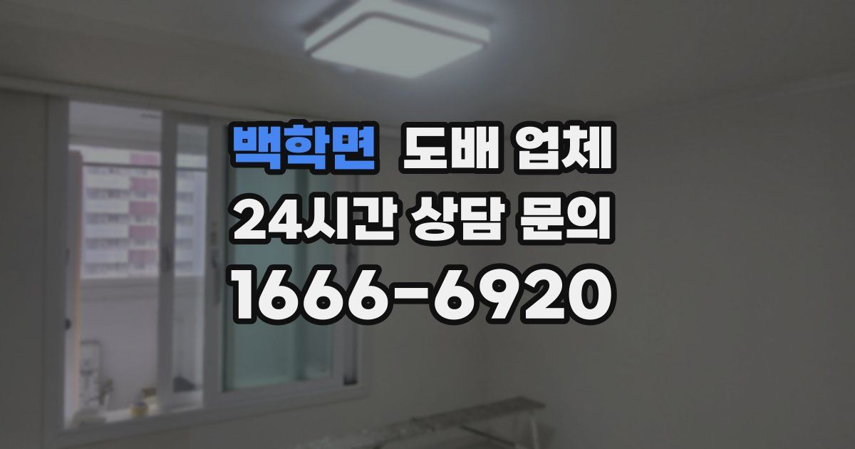 백학면 도배 업체