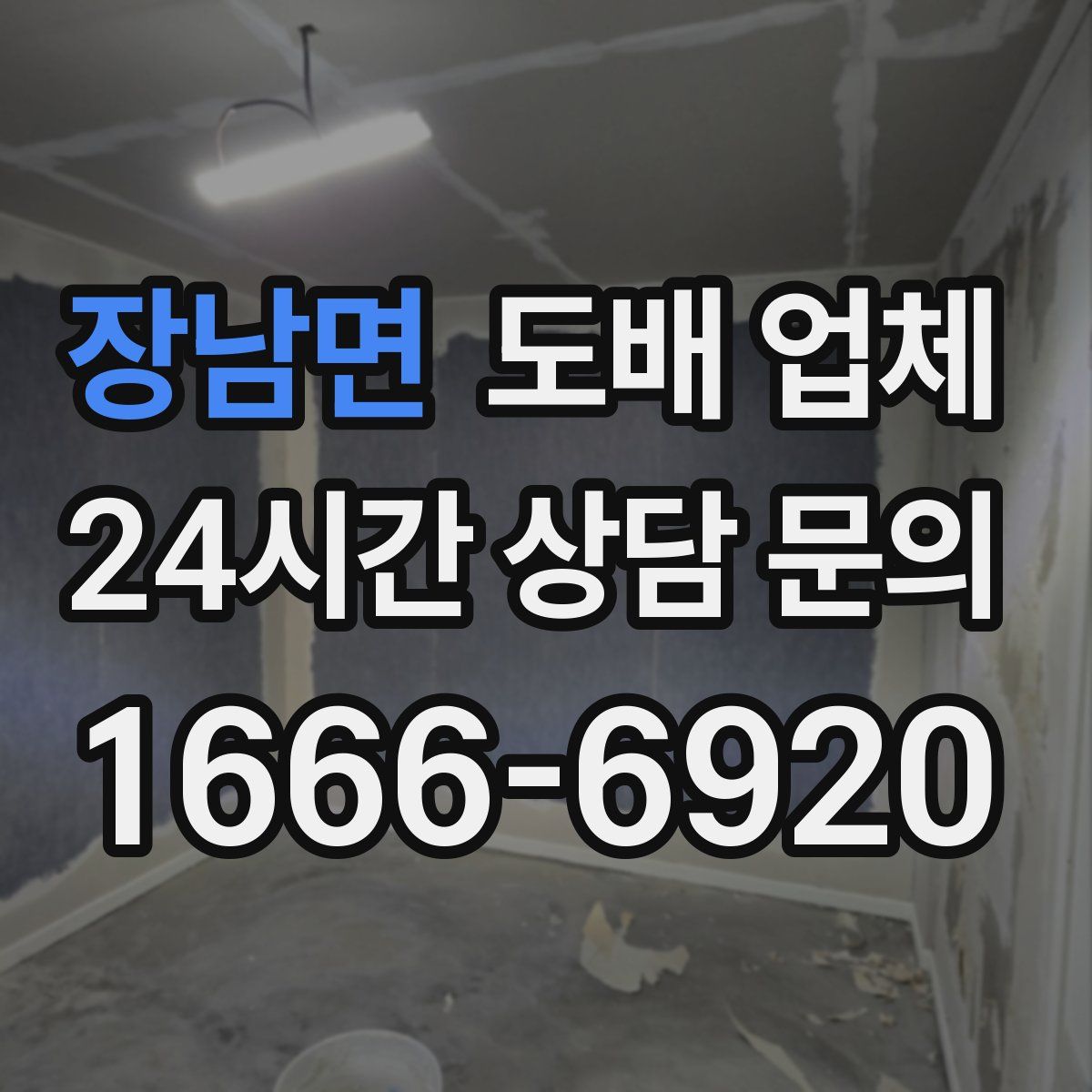 장남면 도배 업체