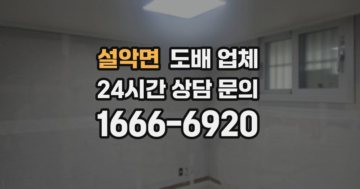 설악면 도배 업체