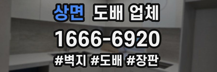 상면 도배 업체