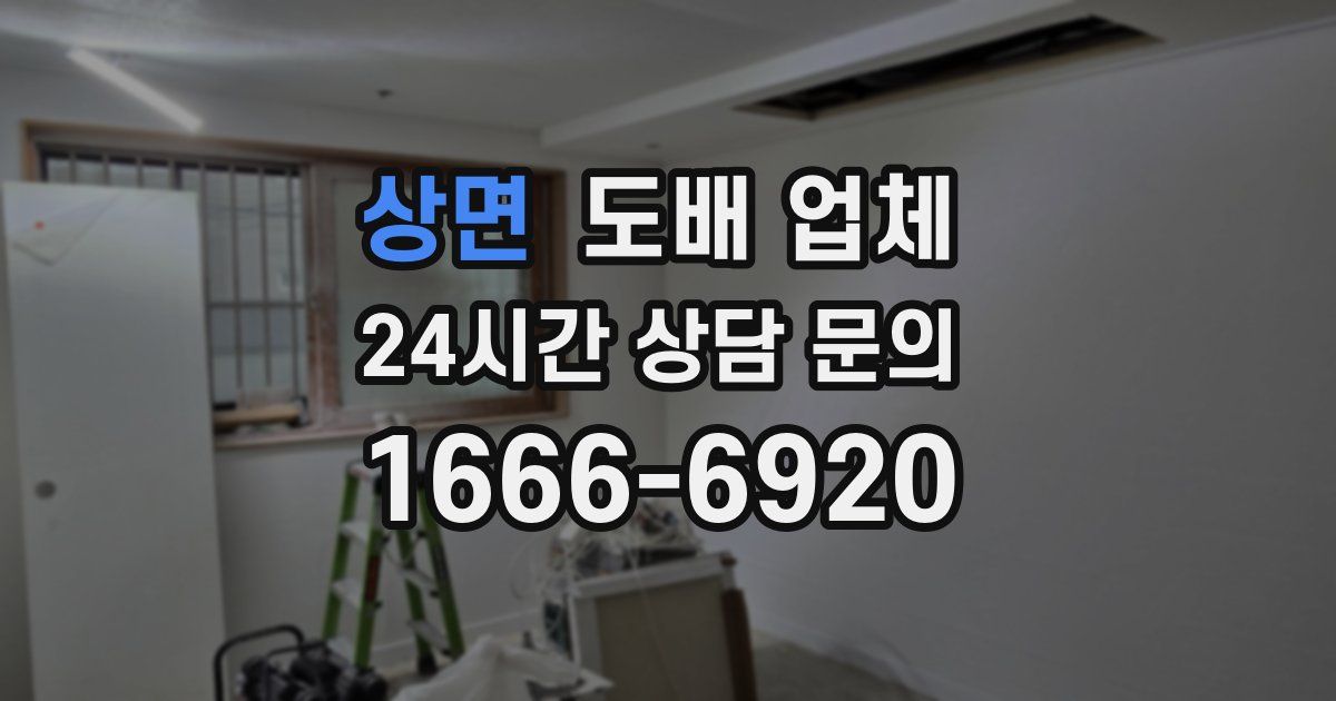 상면 도배 업체