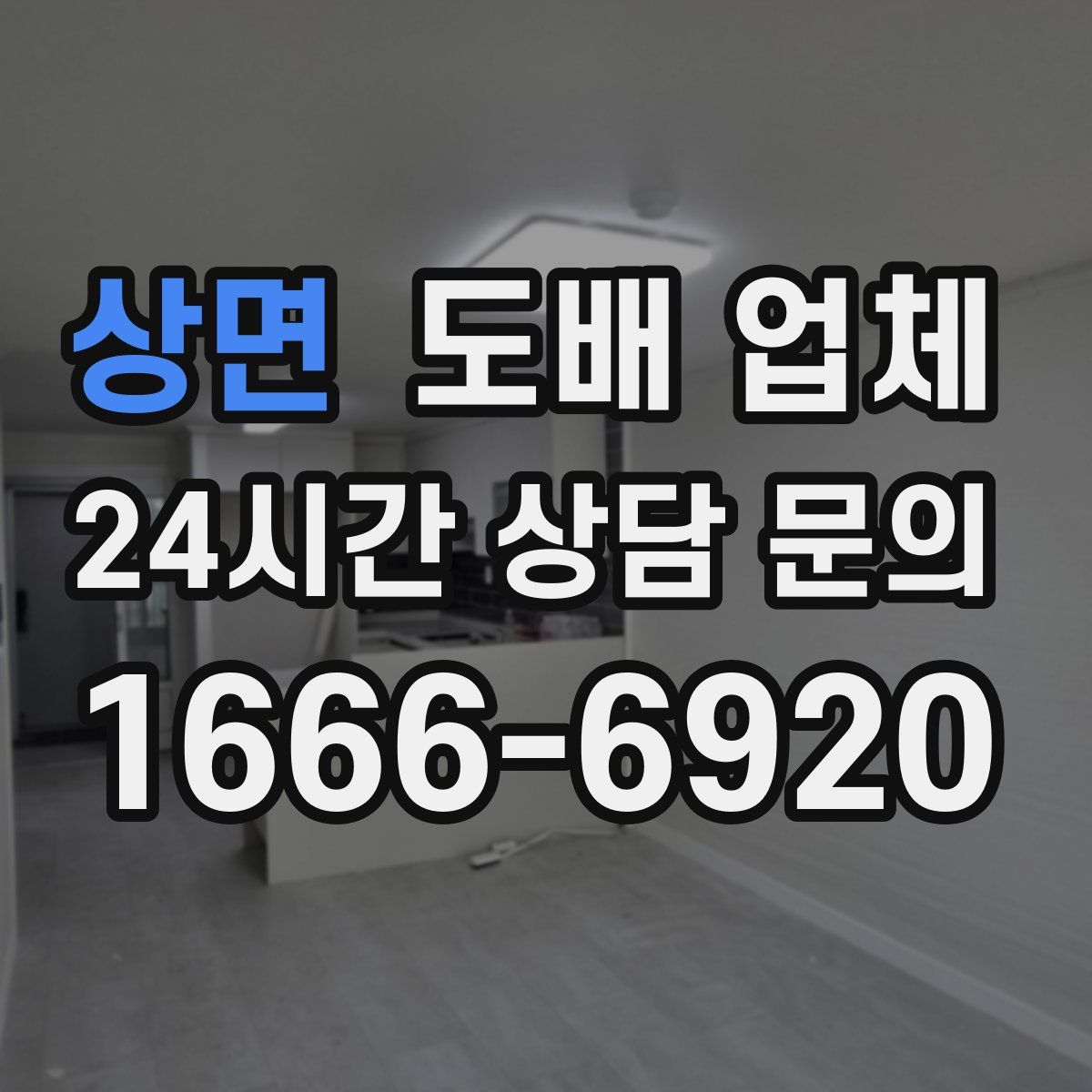 상면 도배 업체