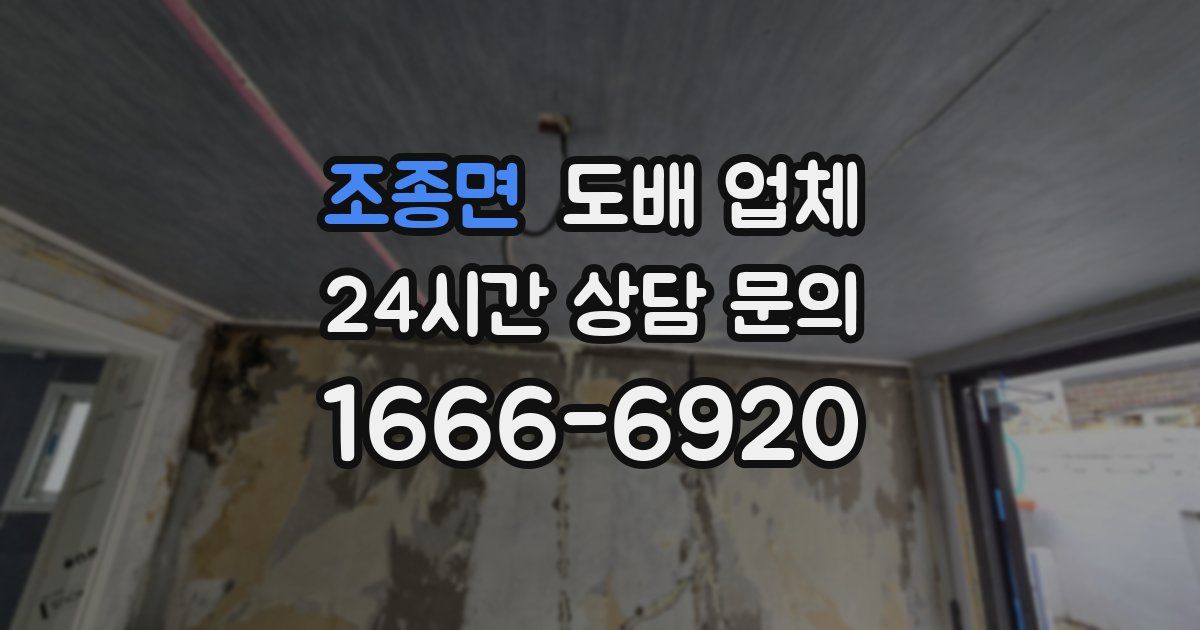 조종면 도배 업체