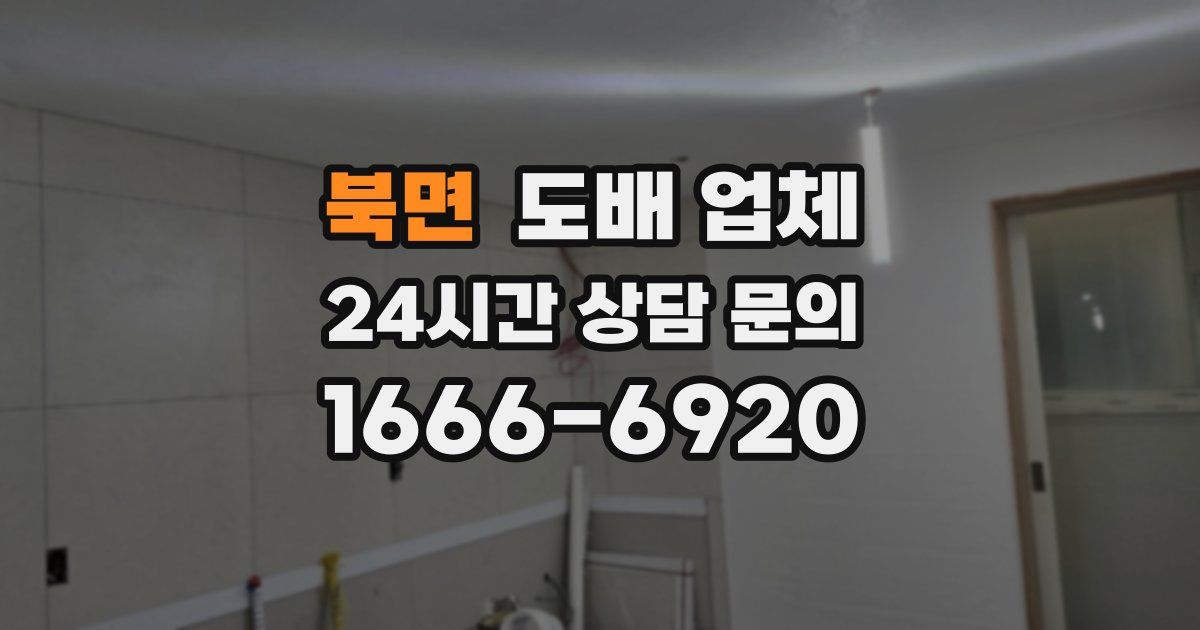 북면 도배 업체