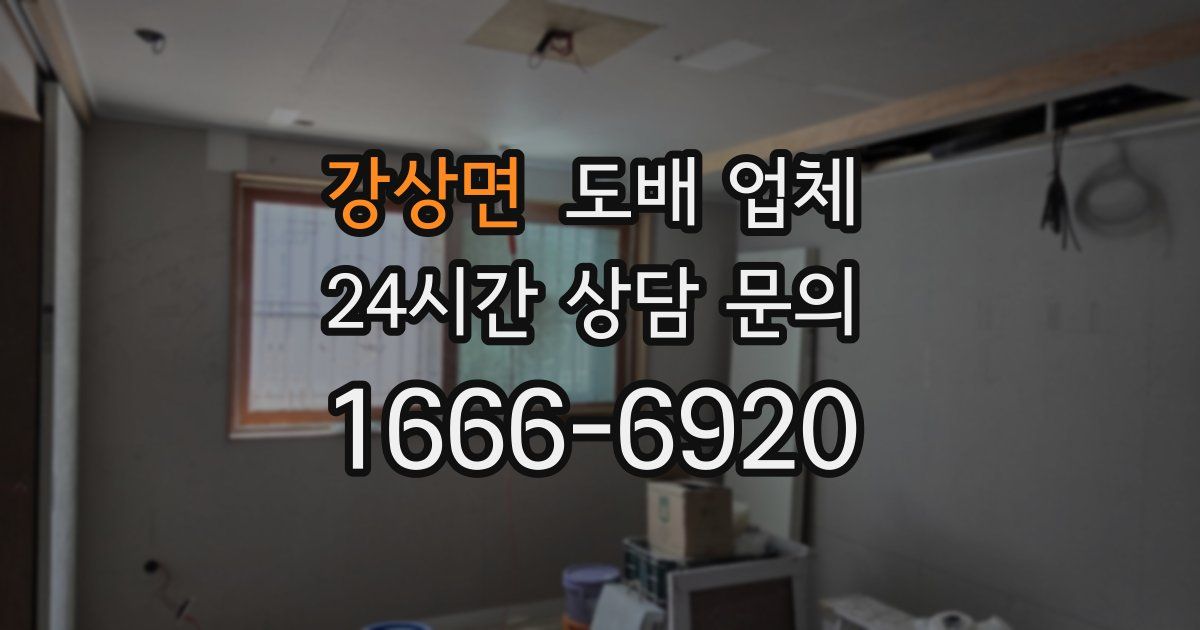 강상면 도배 업체