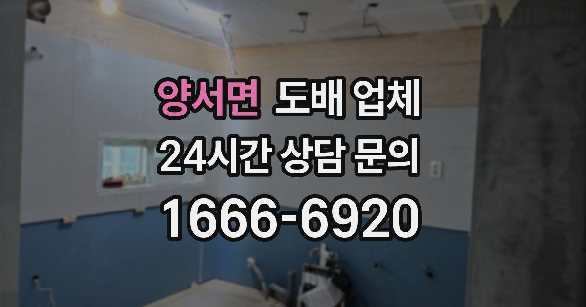 양서면 도배 업체