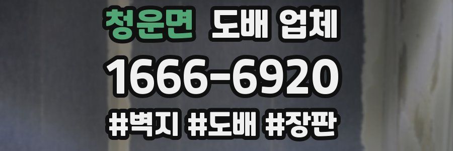 청운면 도배 업체