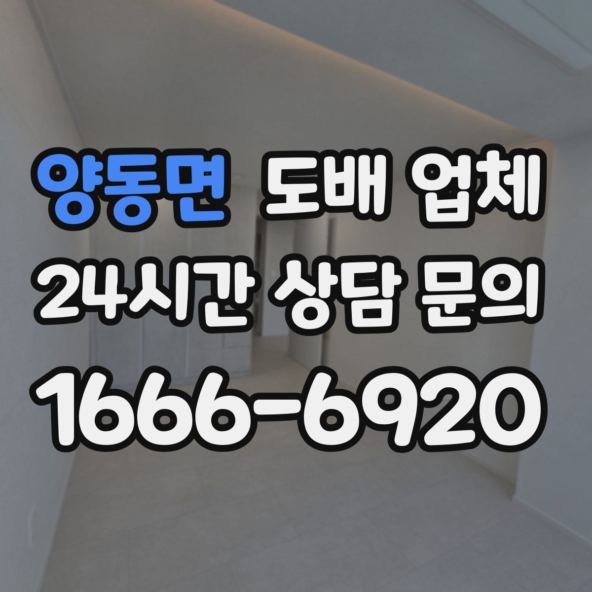 양동면 도배 업체
