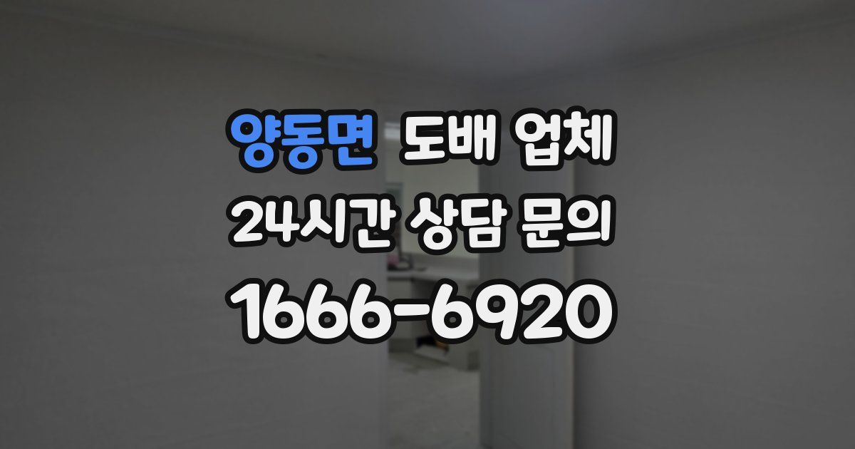 양동면 도배 업체
