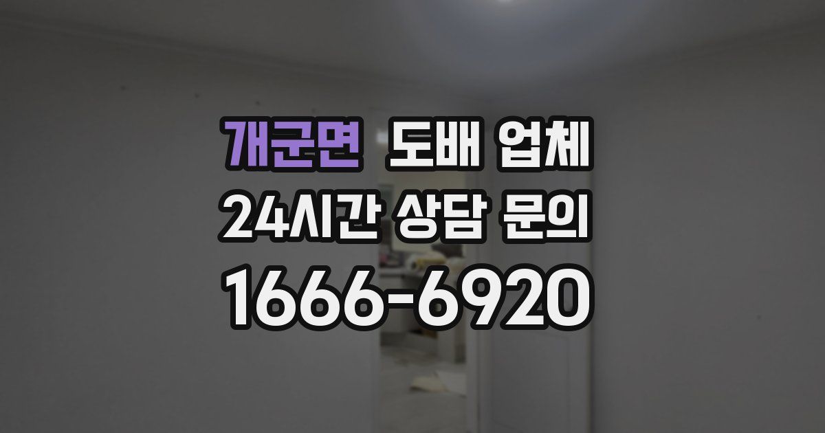 개군면 도배 업체