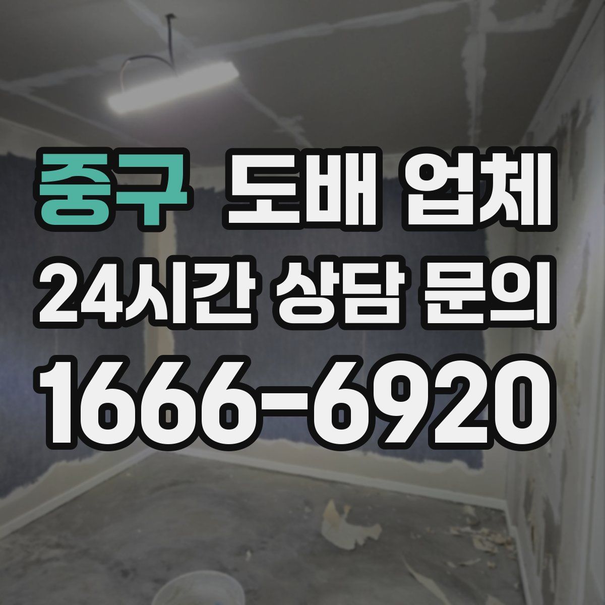 중구 도배 업체