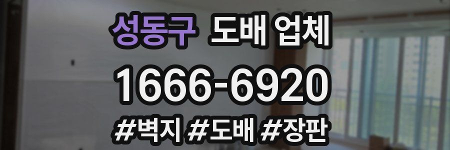 성동구 도배 업체