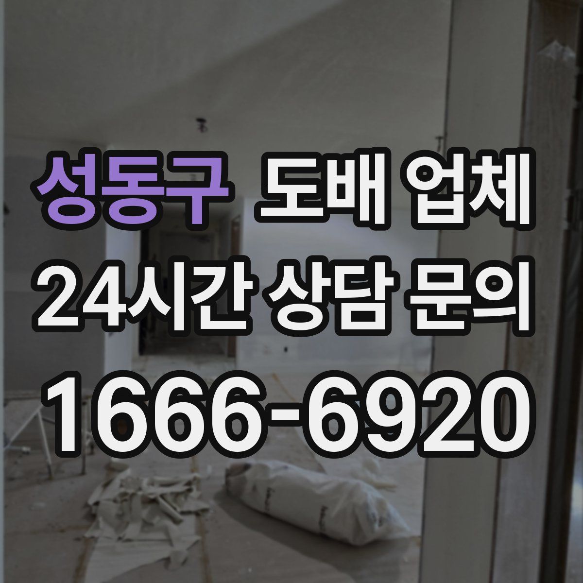 성동구 도배 업체