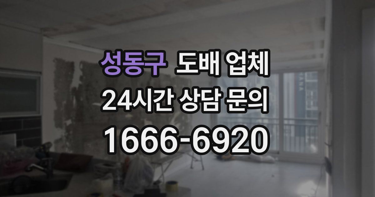 성동구 도배 업체