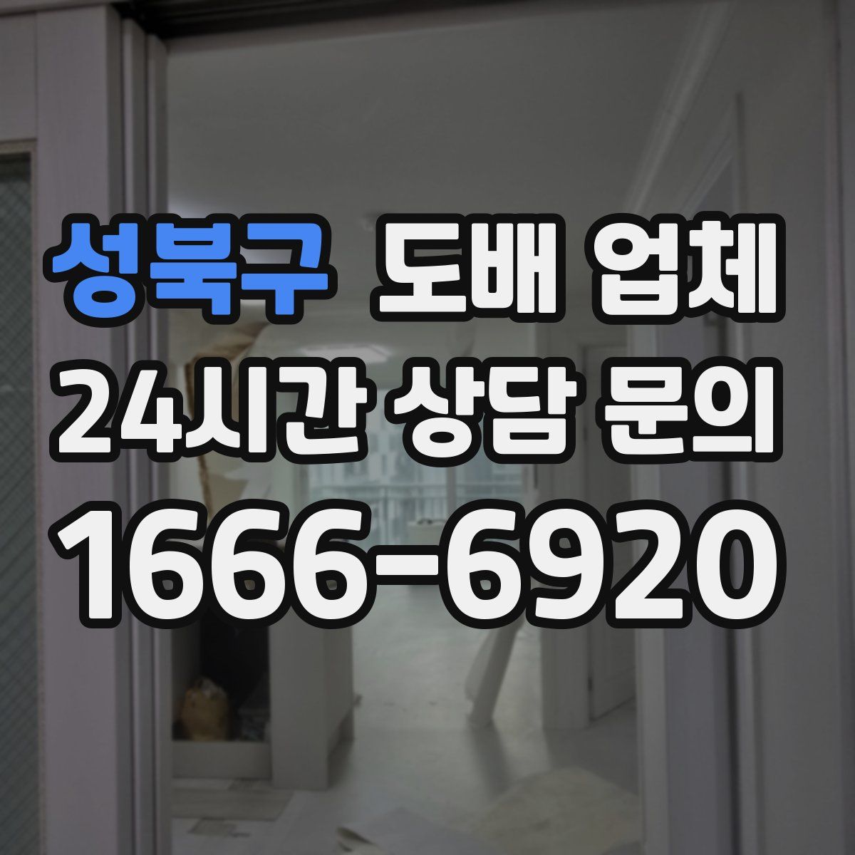 성북구 도배 업체