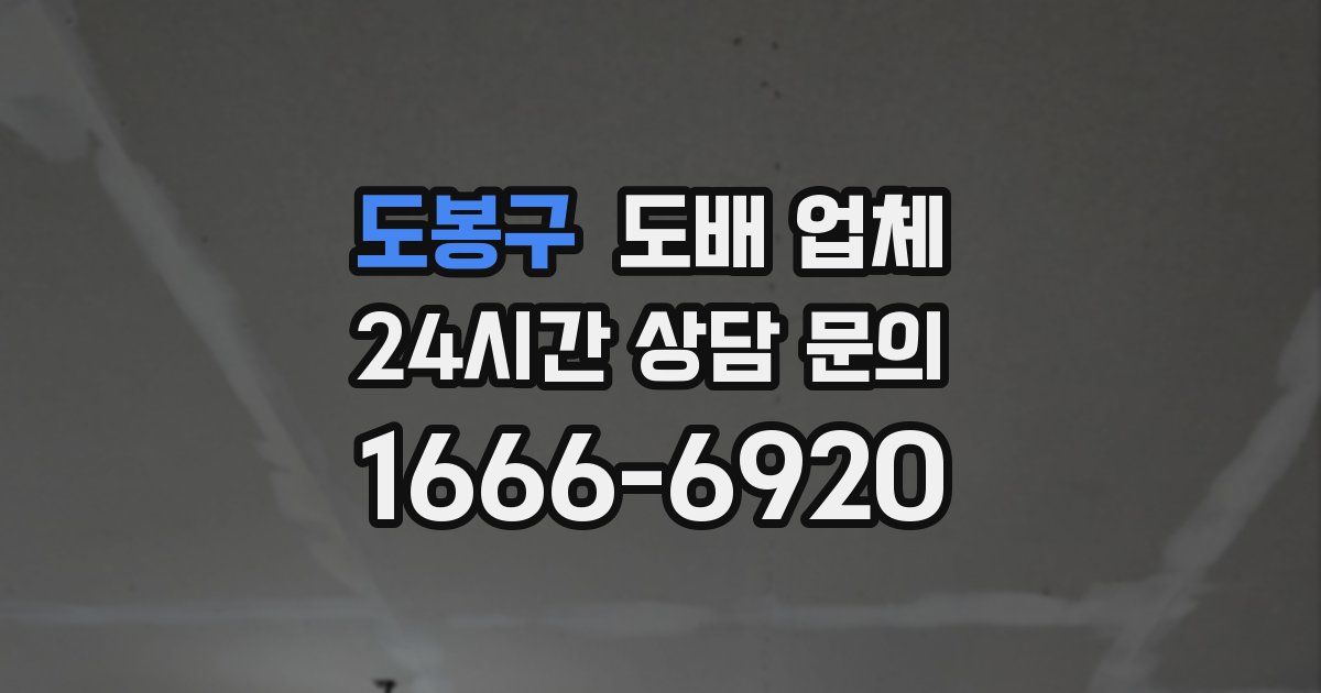 도봉구 도배 업체