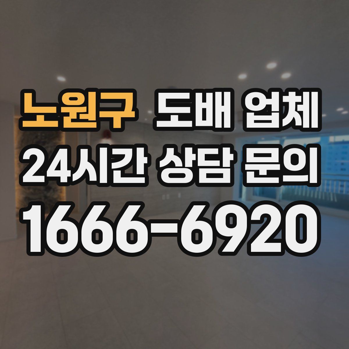 노원구 도배 업체