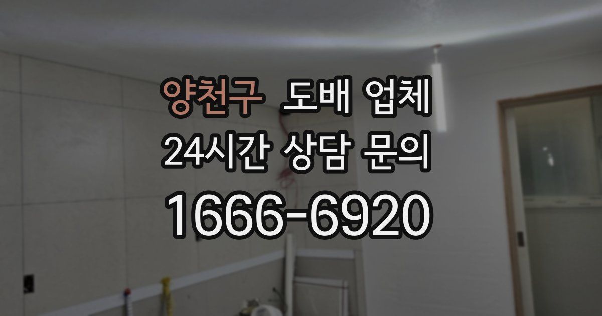 양천구 도배 업체