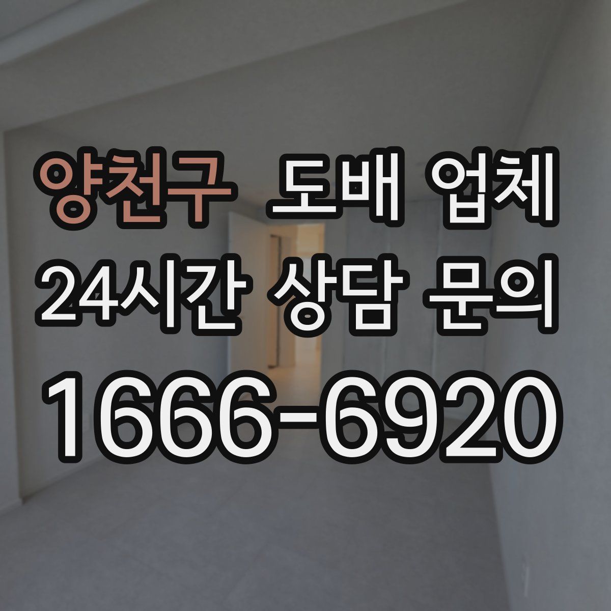 양천구 도배 업체