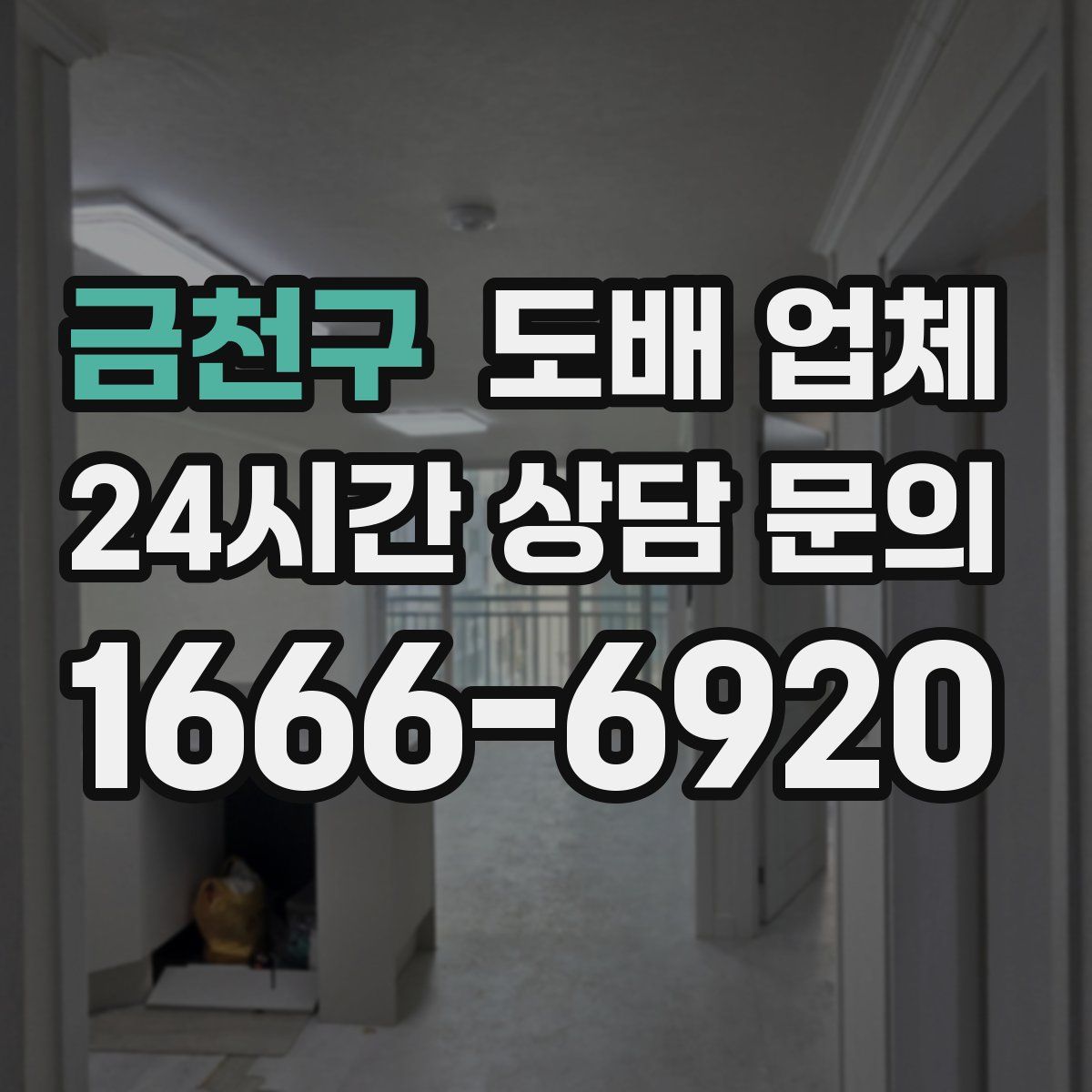 금천구 도배 업체