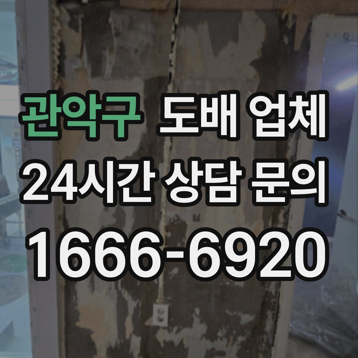 관악구 도배 업체
