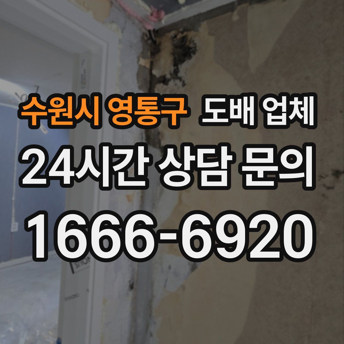 수원시 영통구 도배 업체