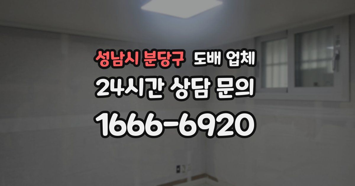 성남시 분당구 도배 업체