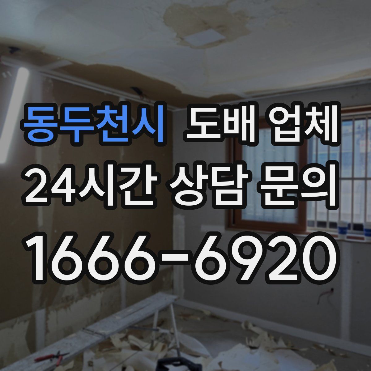 동두천시 도배 업체