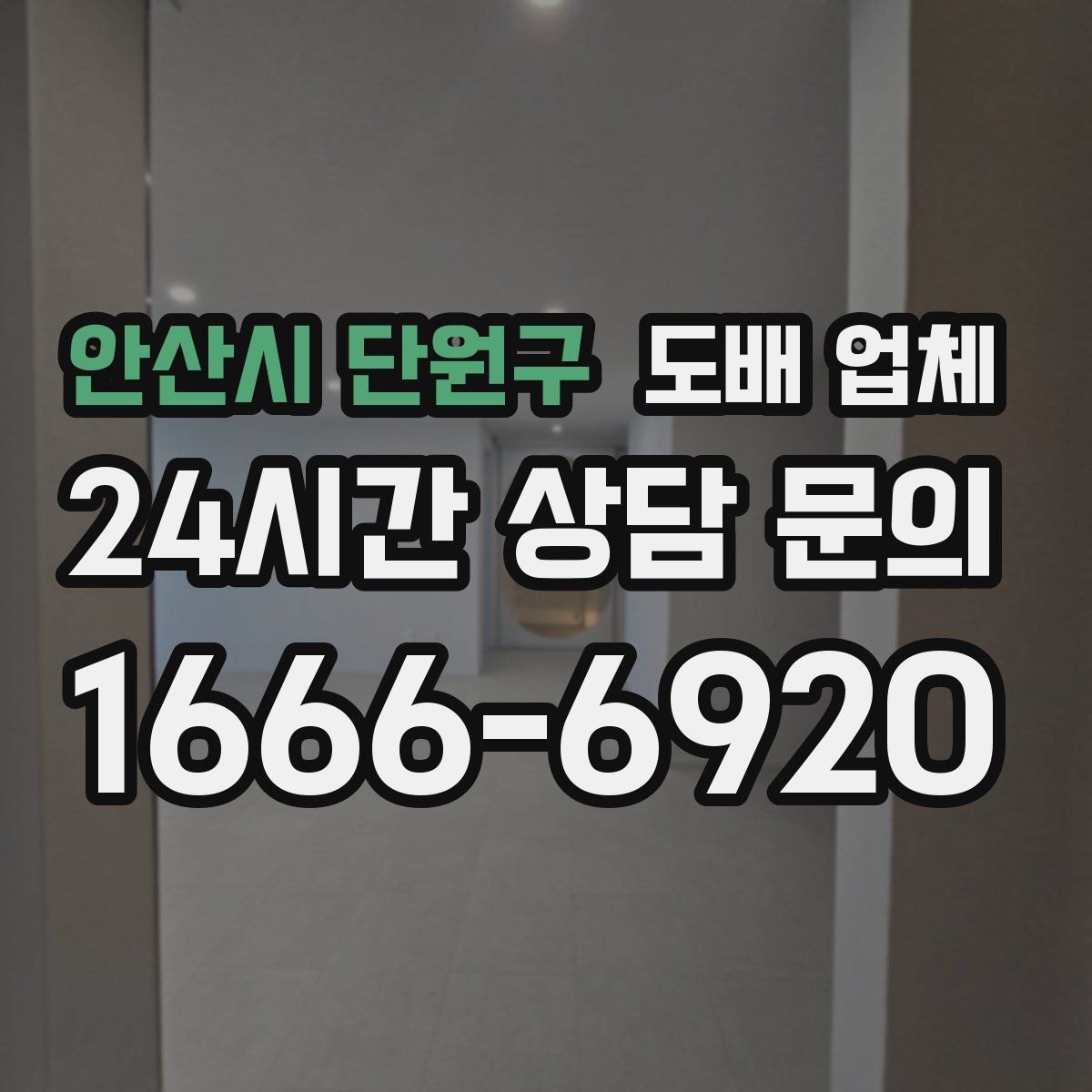 안산시 단원구 도배 업체