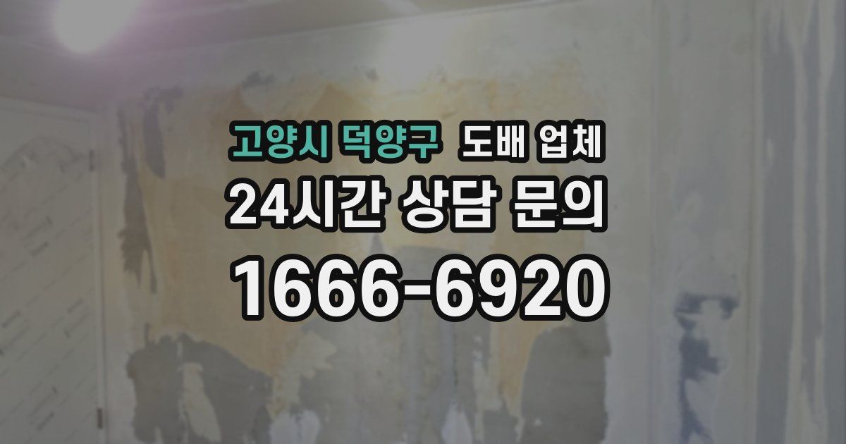 고양시 덕양구 도배 업체