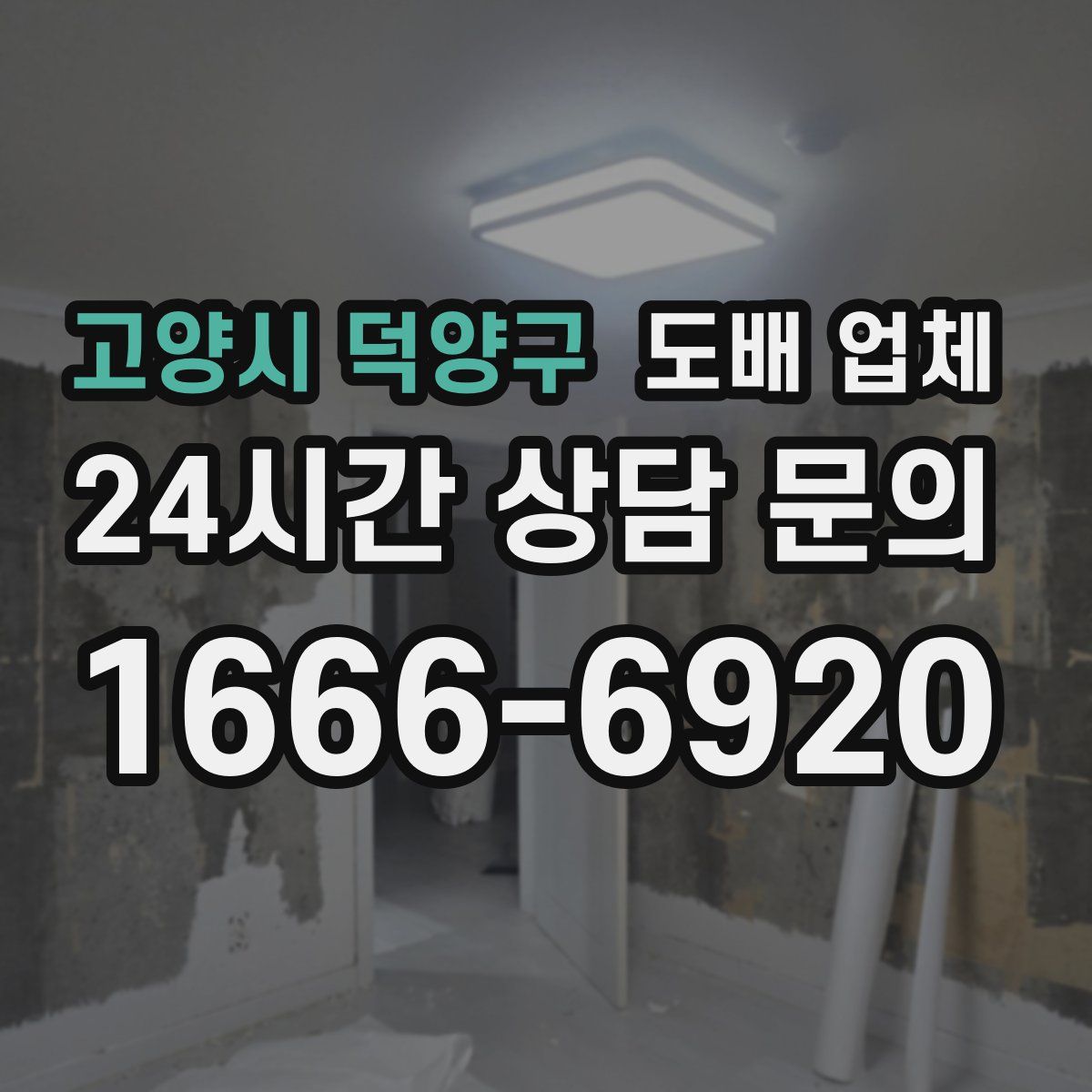 고양시 덕양구 도배 업체