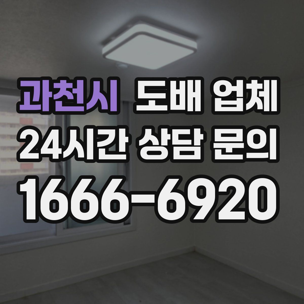 과천시 도배 업체