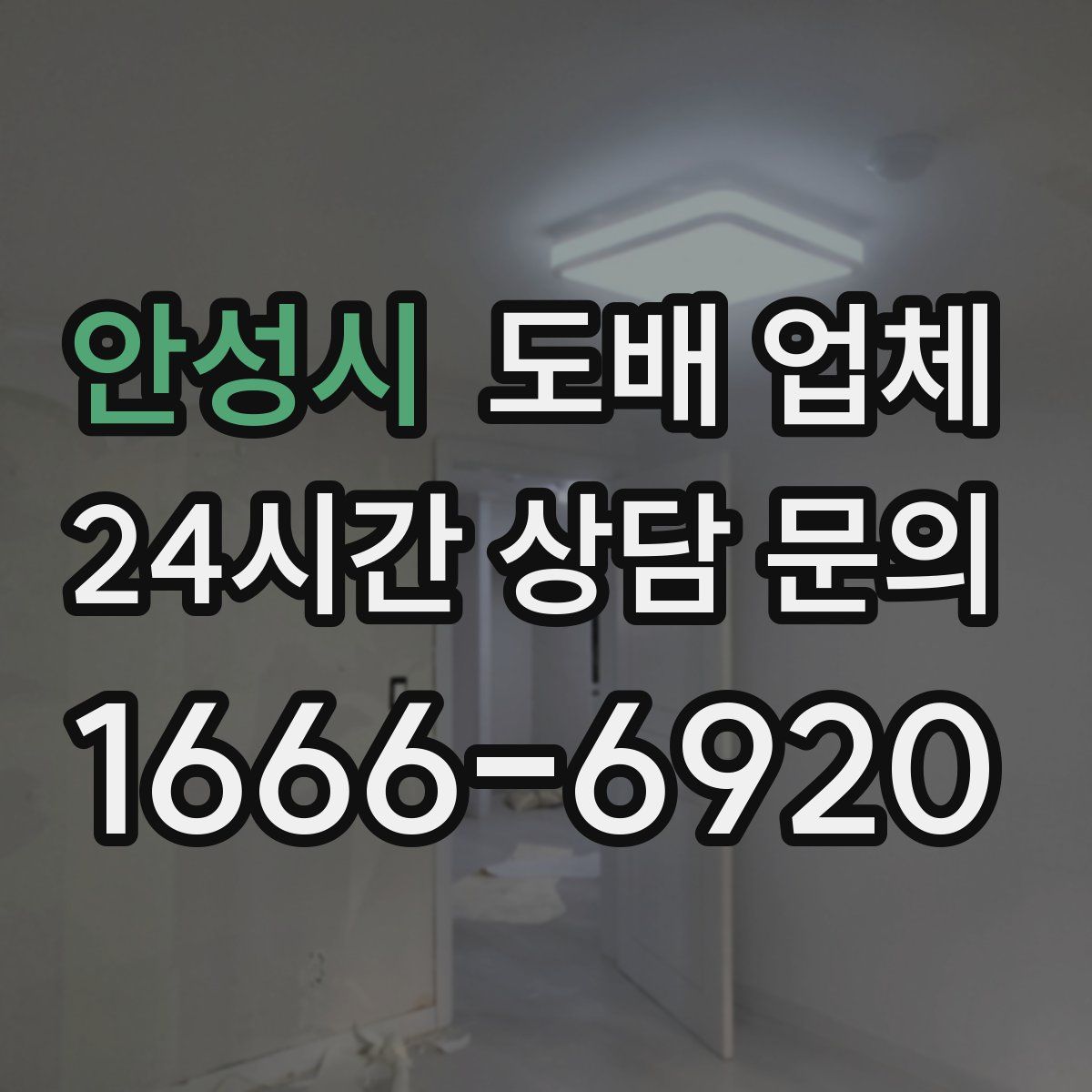 안성시 도배 업체