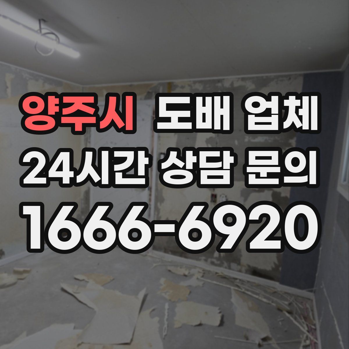 양주시 도배 업체