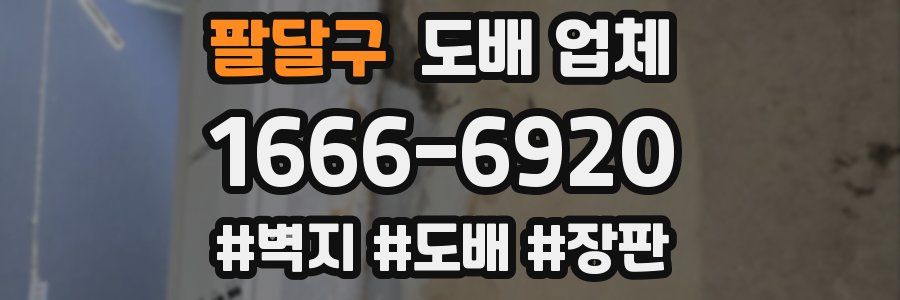 팔달구 도배 업체