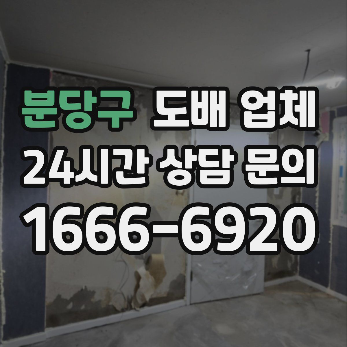 분당구 도배 업체