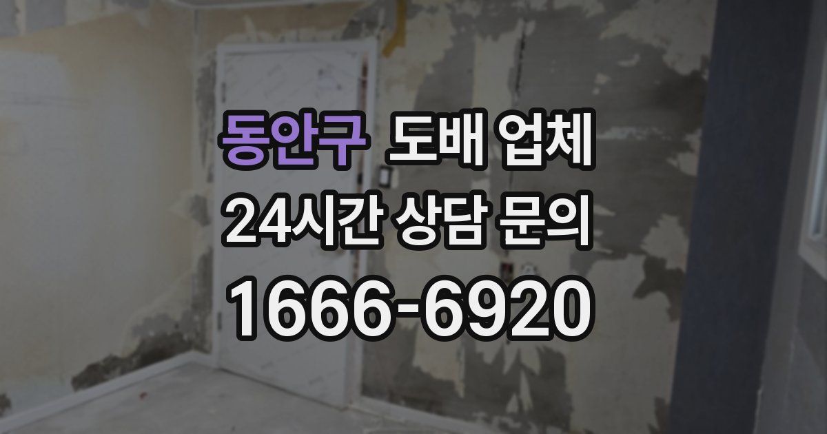 동안구 도배 업체