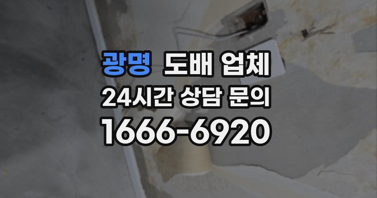 광명 도배 업체