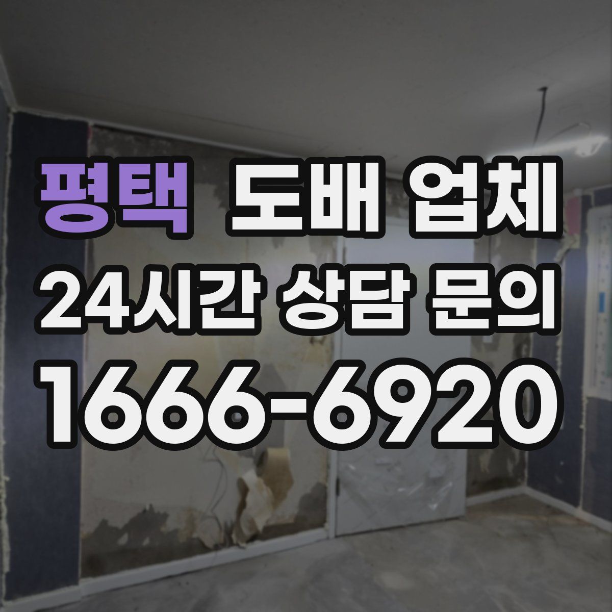 평택 도배 업체