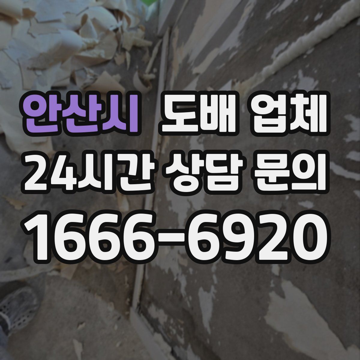 안산시 도배 업체