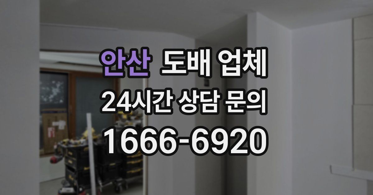 안산 도배 업체