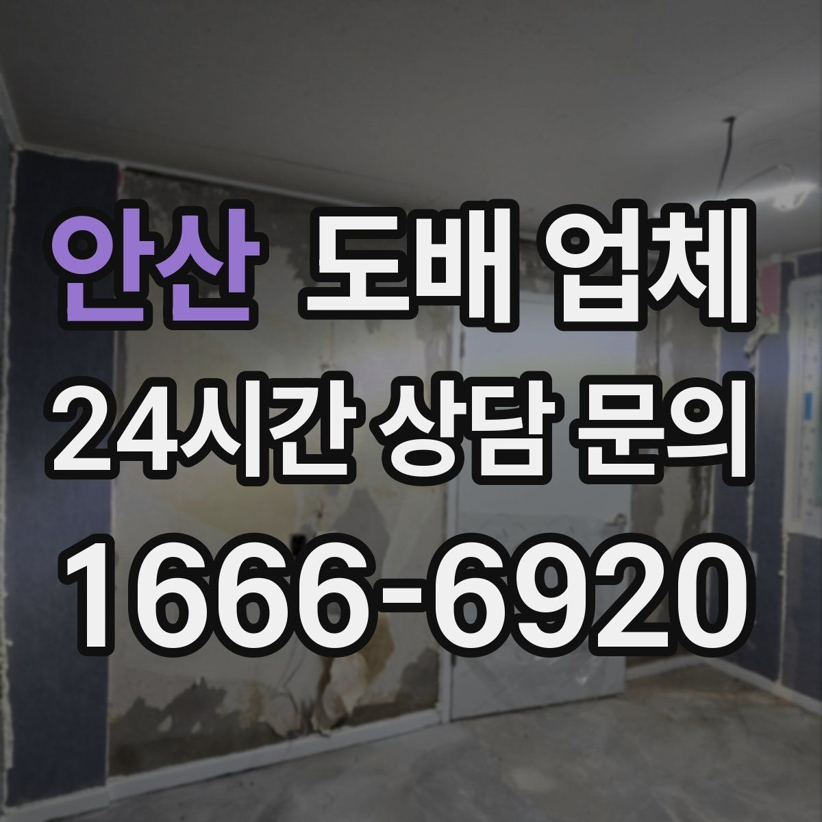 안산 도배 업체