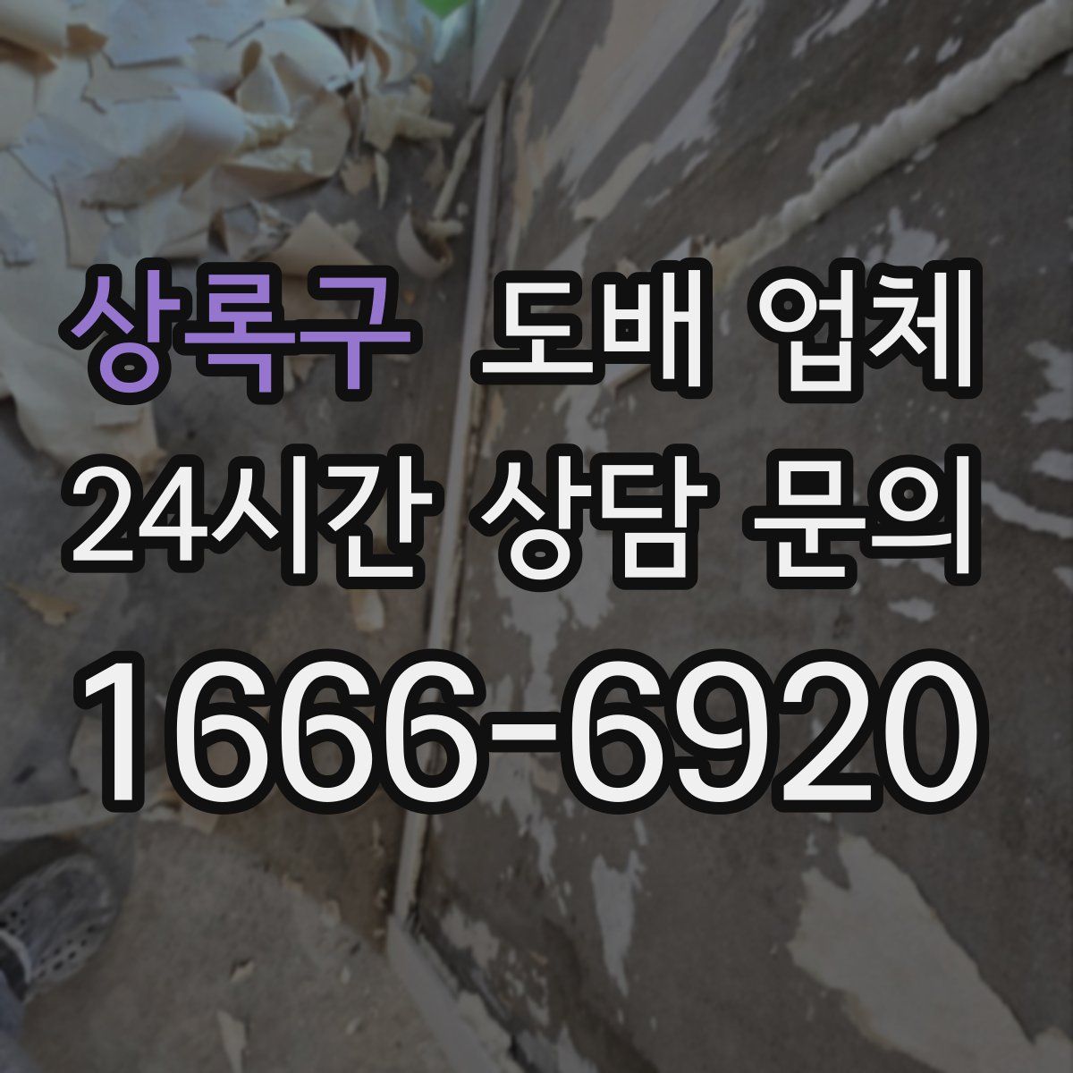 상록구 도배 업체