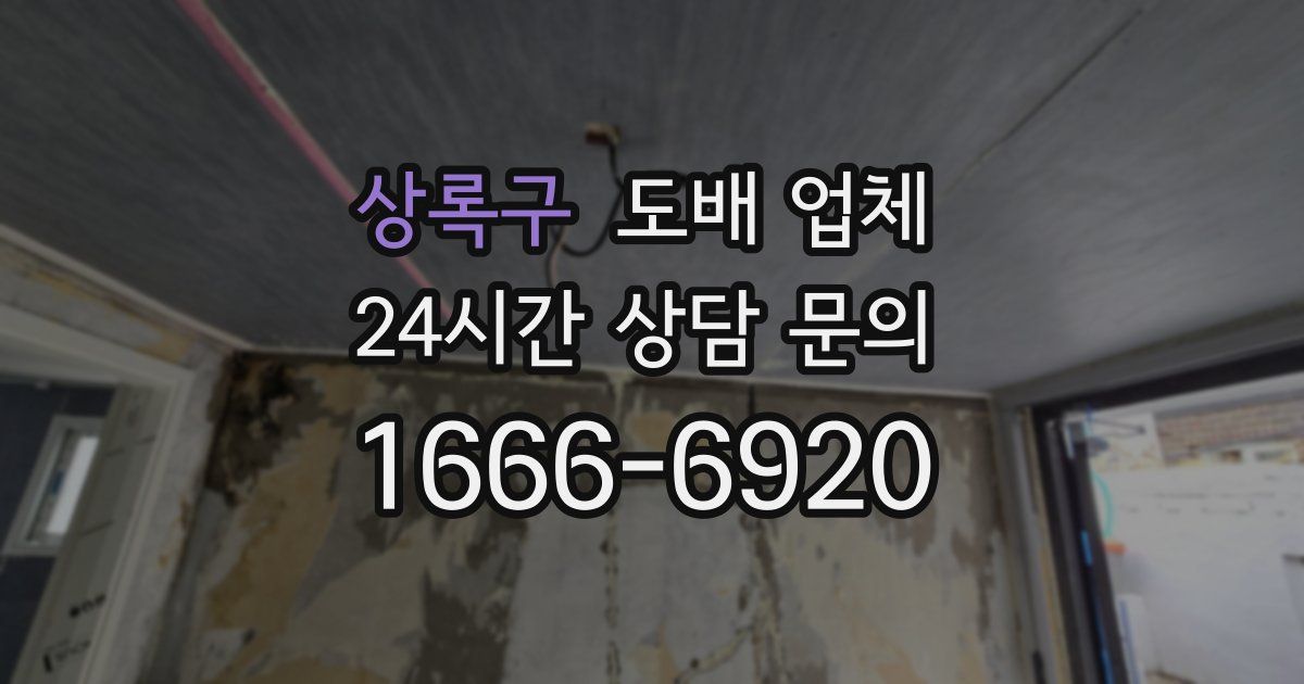 상록구 도배 업체