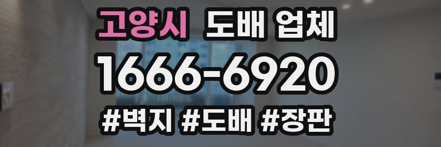 고양시 도배 업체