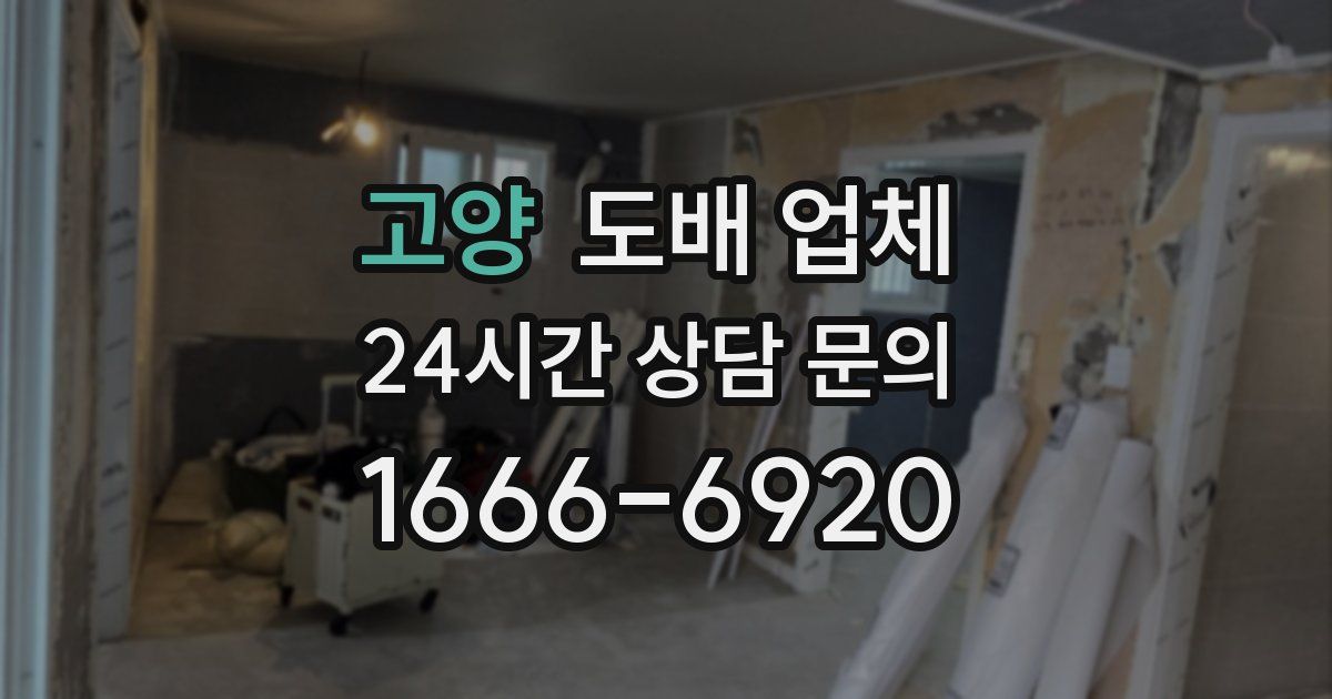 고양 도배 업체