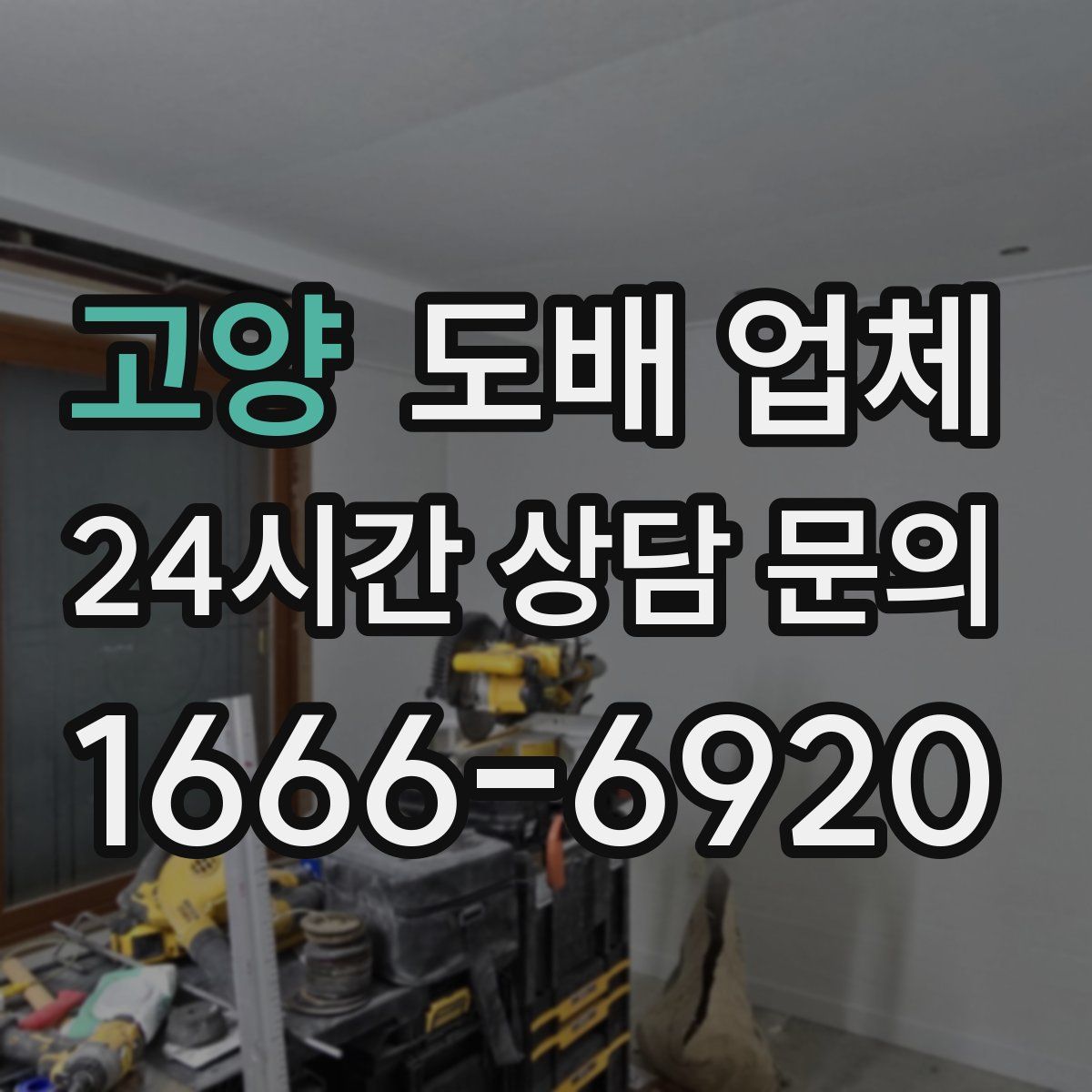 고양 도배 업체